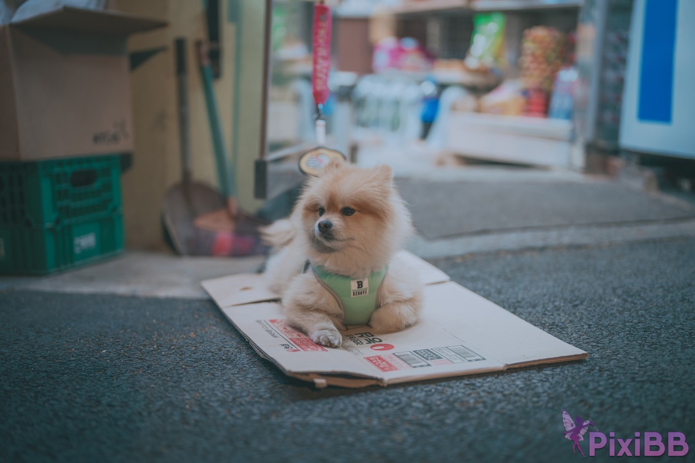 DJAWA Photo Mimmi Your Panties PixiBB.COM 239