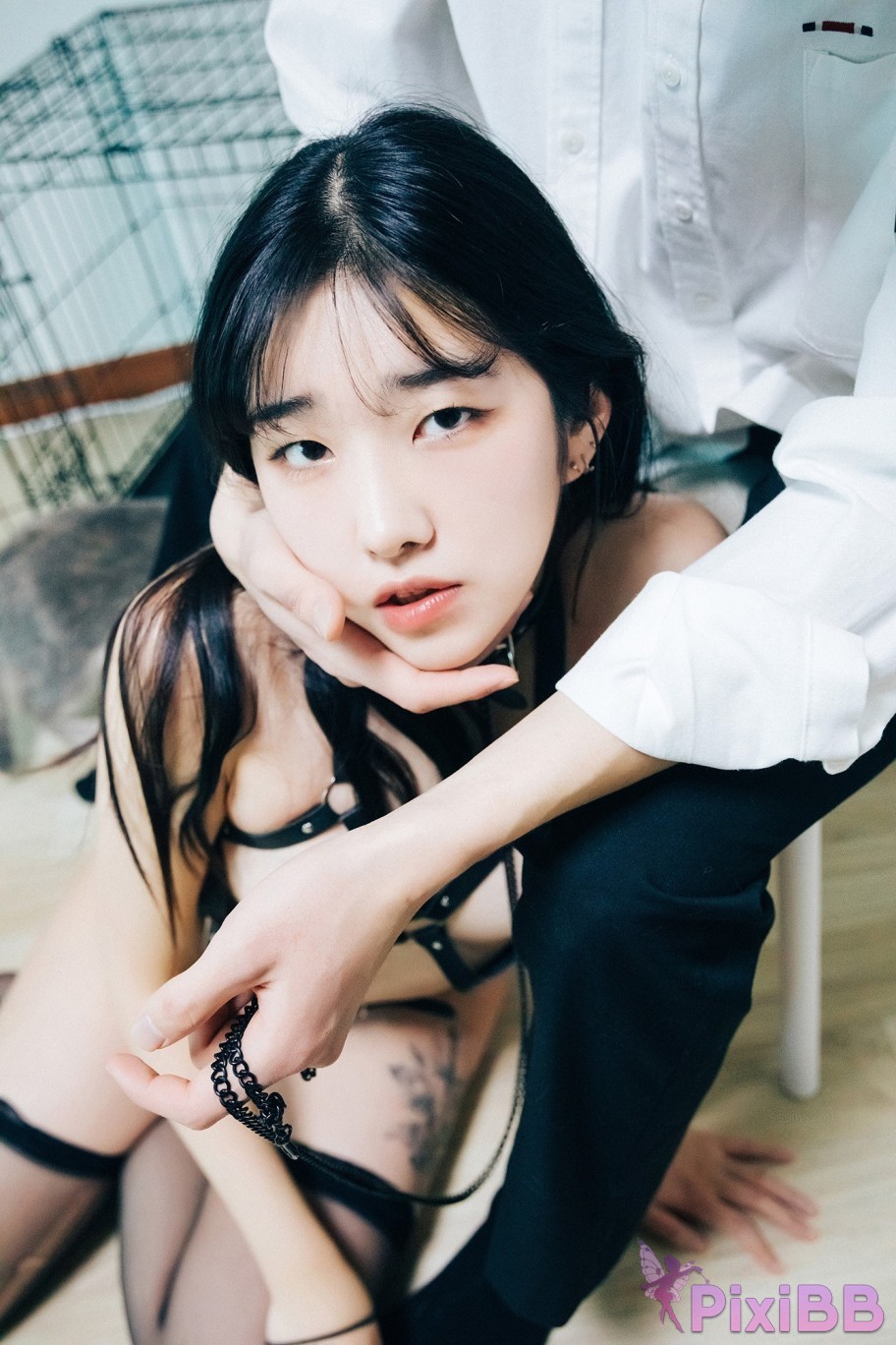 Loozy Sonson Dog Plays PixiBB.COM 009