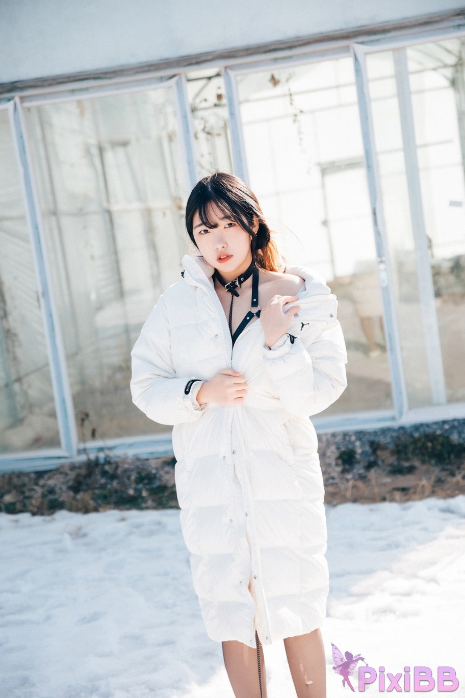 Loozy Sonson Dog Plays PixiBB.COM 013