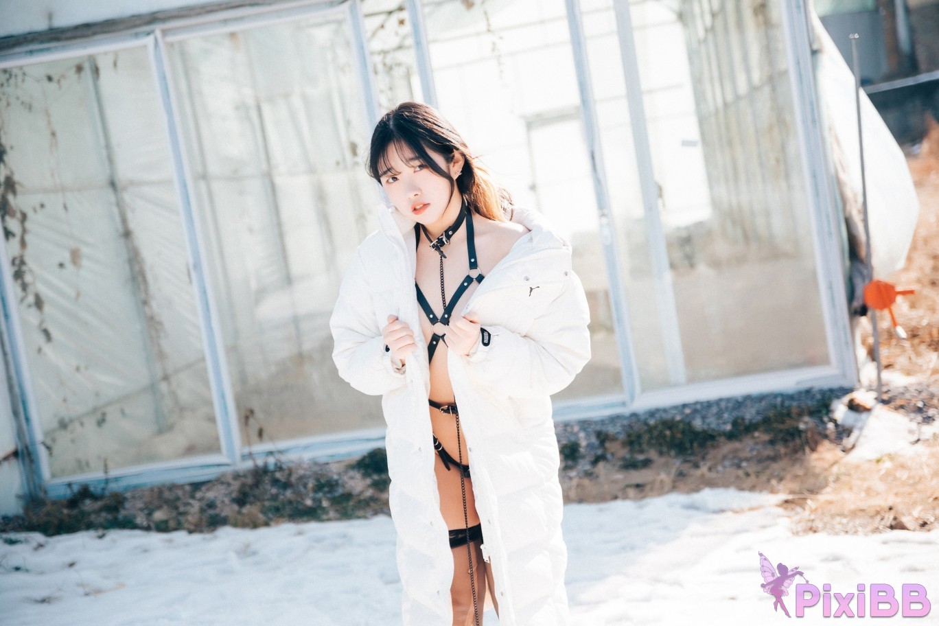 Loozy Sonson Dog Plays PixiBB.COM 014