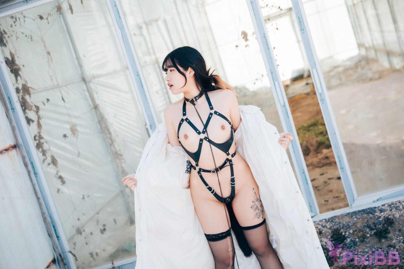 Loozy Sonson Dog Plays PixiBB.COM 045