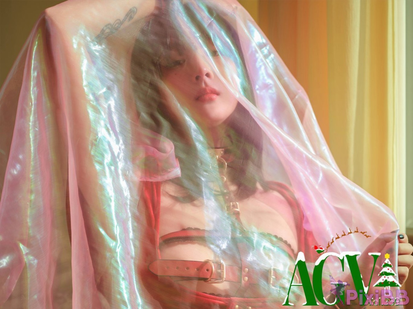 AG.359 Jang Joo PixiBB.COM 091