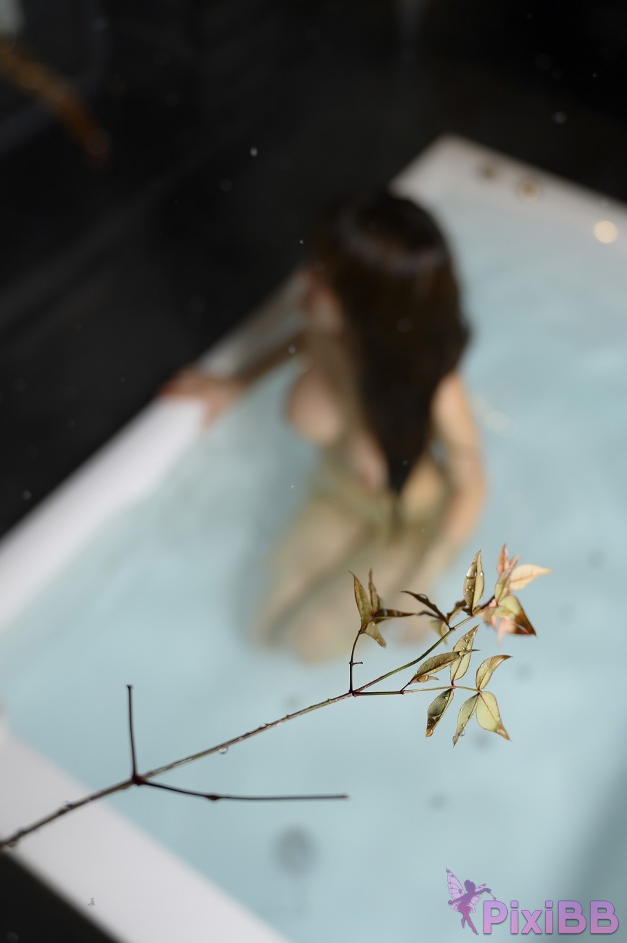 Jucy Cherry Blossom Moon Night Snap PixiBB.COM 019