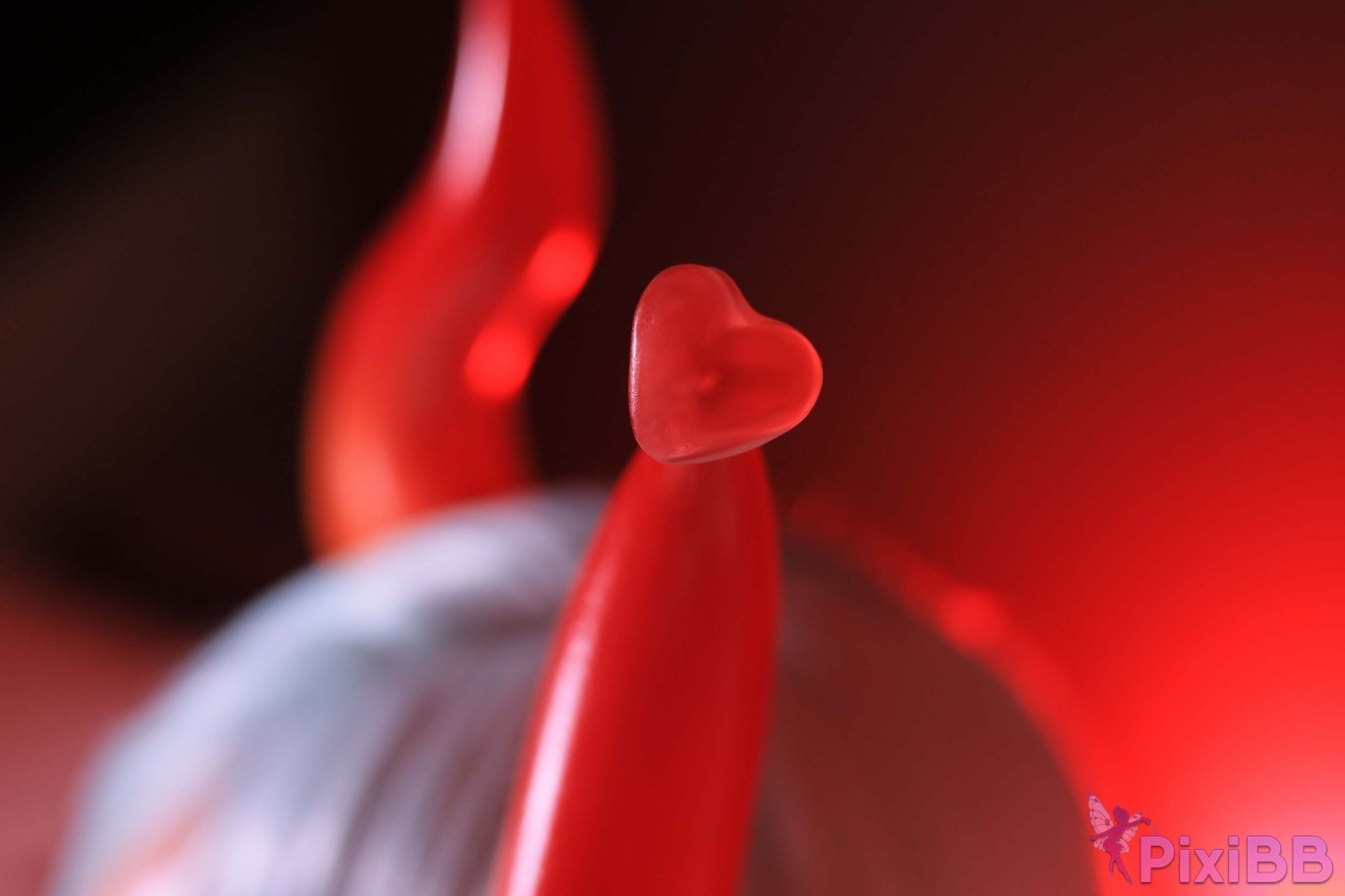 Dongeuran round Red Succubus PixiBB.COM 227