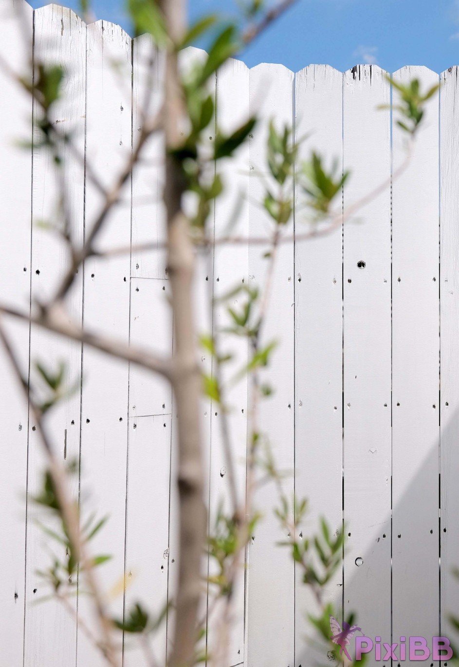 JP Kamiki Rei SOD Ill show you PixiBB.COM 002