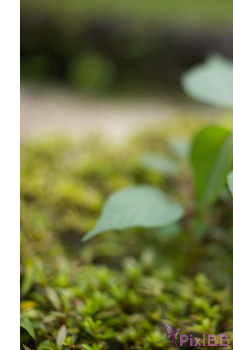 Japanese Idol Hikari Kisaki Open Shower Photobook For the way that shines PixiBB.COM 059