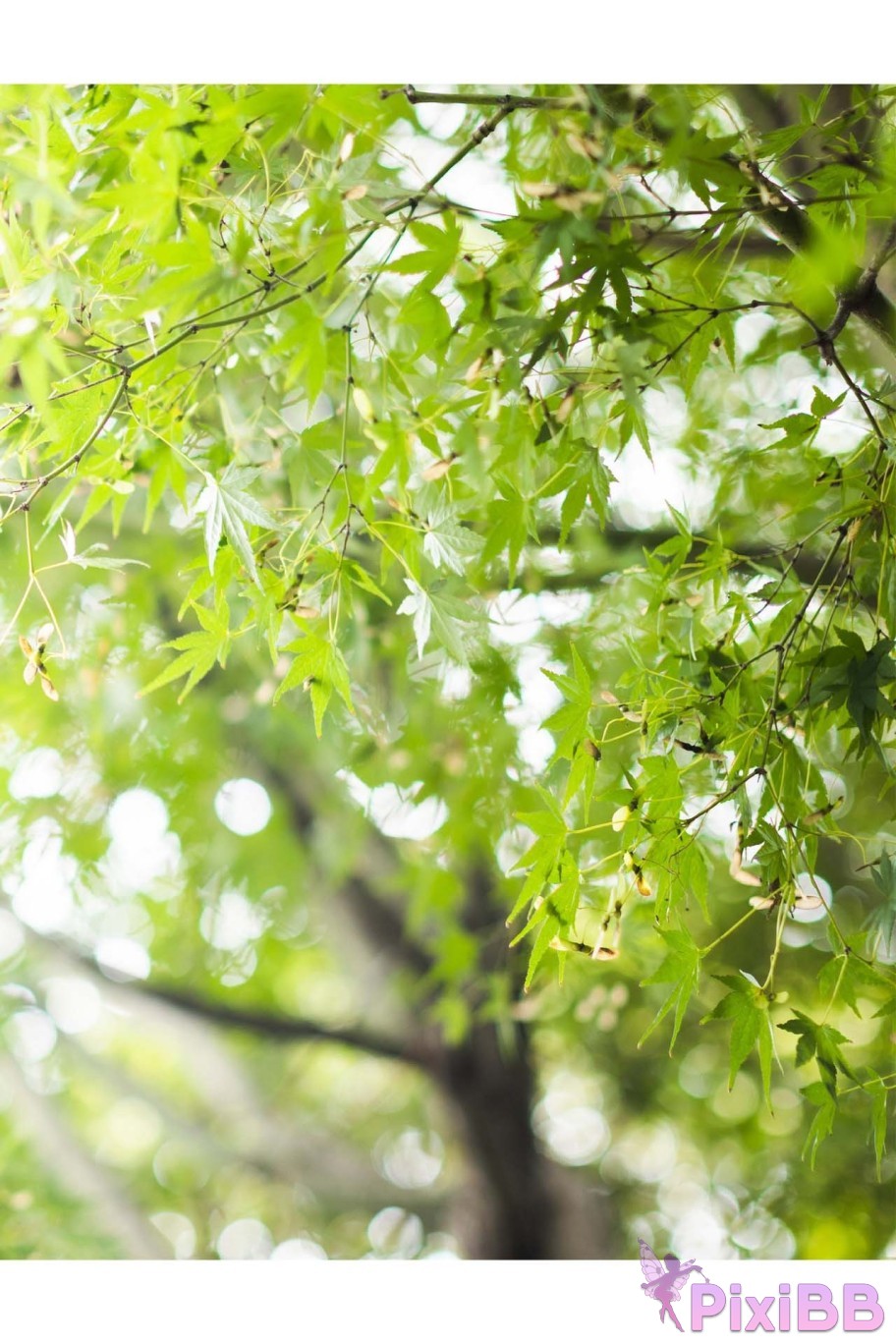 Japanese Idol Hikari Kisaki Open Shower Photobook For the way that shines PixiBB.COM 064