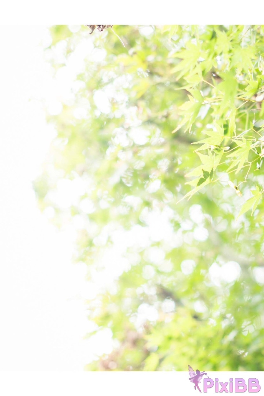 Japanese Idol Hikari Kisaki Open Shower Photobook For the way that shines PixiBB.COM 065