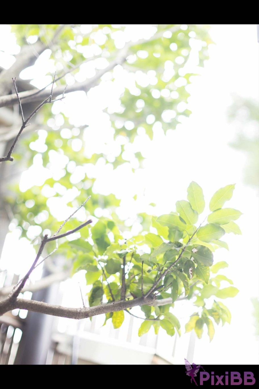 Japanese Idol Hikari Kisaki Open Shower Photobook For the way that shines PixiBB.COM 092