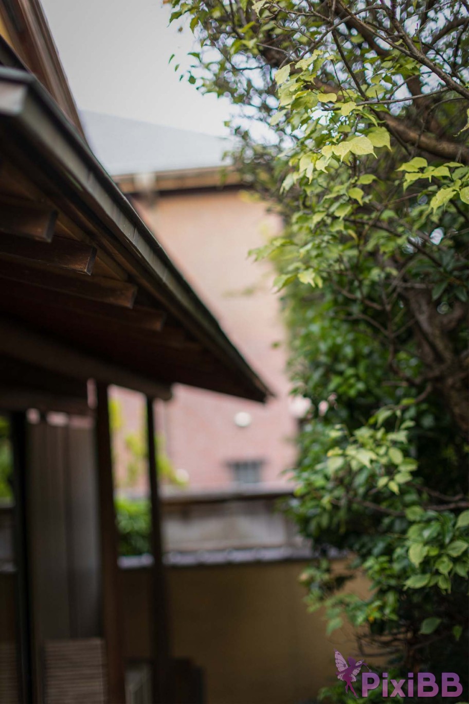 Japanese Idol Hikari Kisaki Open Shower Photobook For the way that shines PixiBB.COM 100