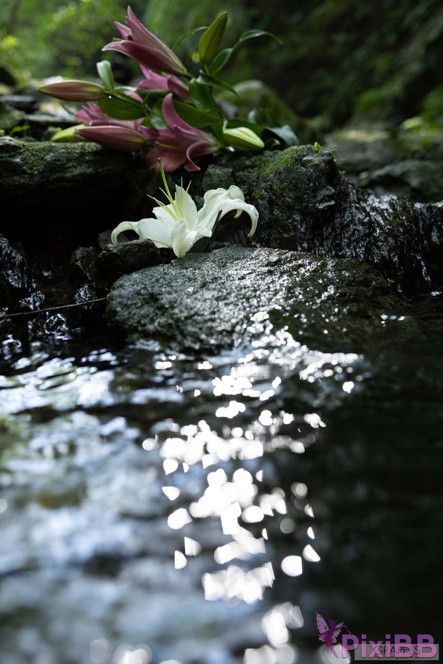 JP Kanon Urara Graphis Gals No.547 To Be Loved PixiBB.COM 090